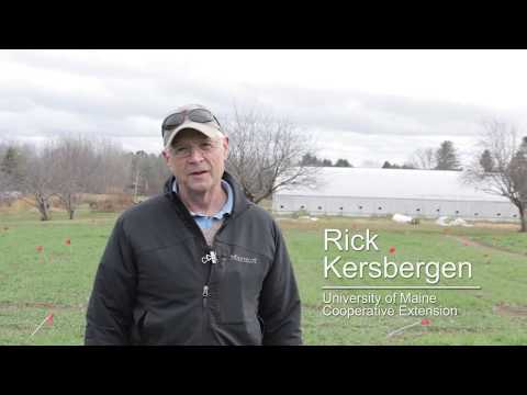 Benefits of Cover Cropping