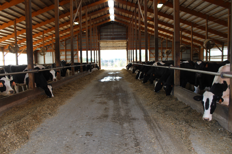 inside barn