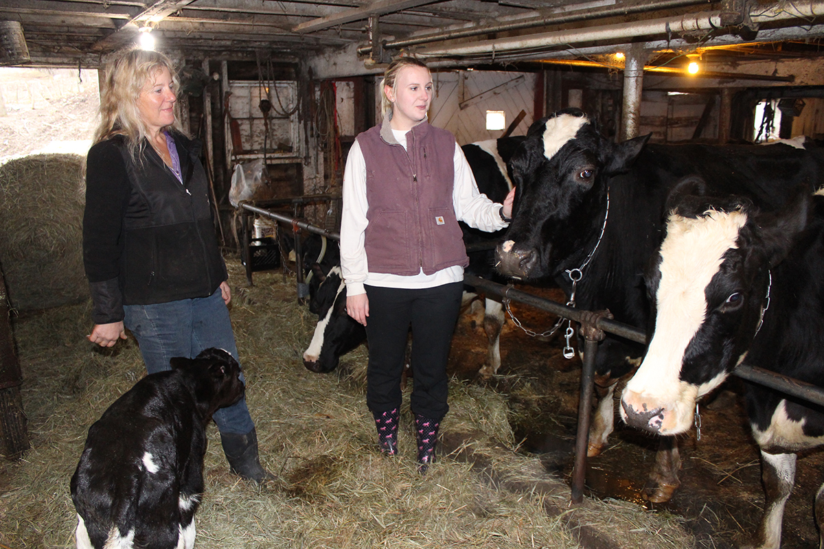 Sonja and Brittney Ginn with the cows at Willow Drive Farm in Winterport.