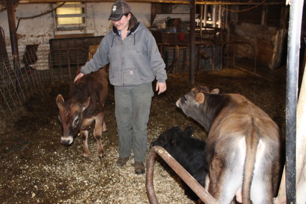 Many people picture small calves when they hear the word "veal," but as you can see, these guys are good-sized.