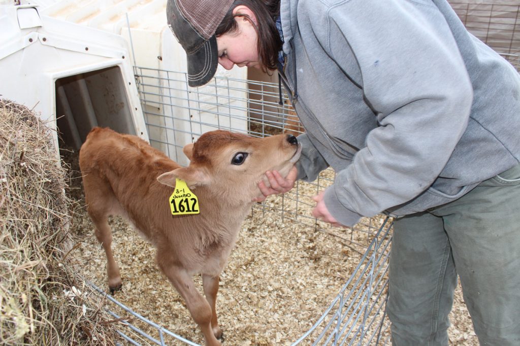 carrie and calf