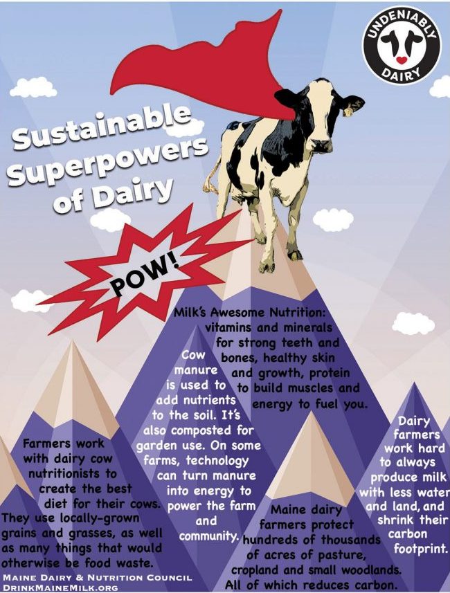 dairy cow superpowers