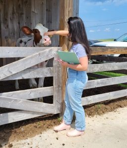 intern, dietitian, calf, heifer, dairy