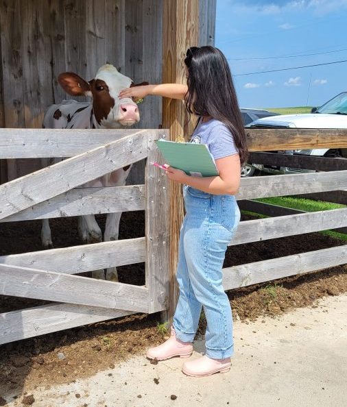 intern, dietitian, calf, heifer, dairy